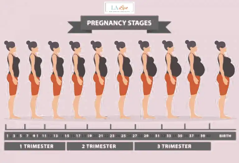 First Trimester (Weeks 1–12): Early Changes You Might Not Notice Kington